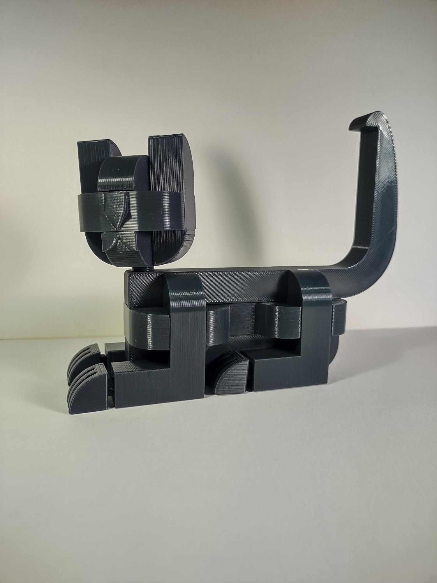 Kato Riposa = chat allongé